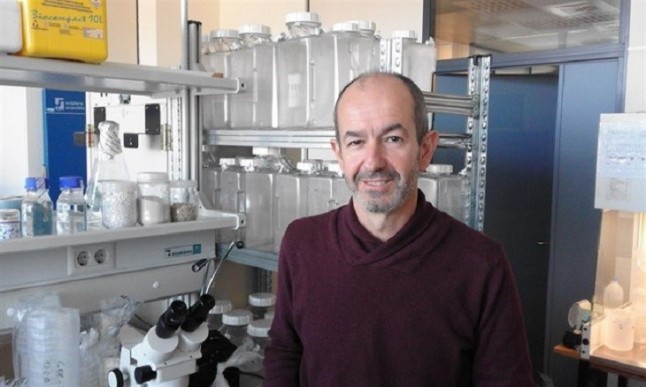 Pueden las hojas de las plantas comunicarse entre sí