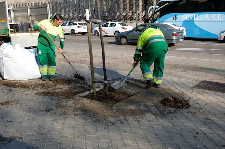 Madrid plantará 2.300 árboles para Ciudad Lineal
