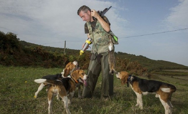 Animalistas demandan prohibir la presencia infantil en cacerías tras la muerte de un niño de cuatro años en Andalucía