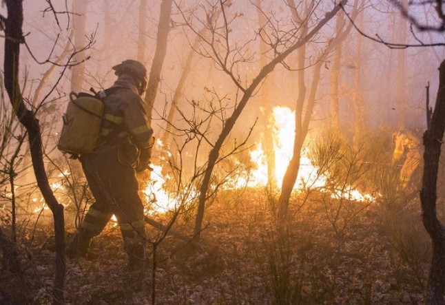 Los incendios forestales se disparan en los cuatro primeros meses de 2019