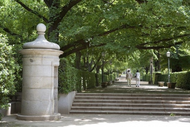 Madrid ahorra millones gracias a su bosque urbano