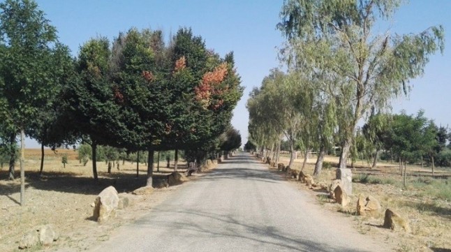 El Ayuntamiento de Villamayor en defensa de sus caminos públicos