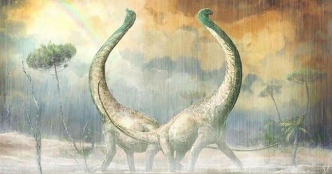 Un nuevo marsupial vivió en el Ártico con los dinosaurios