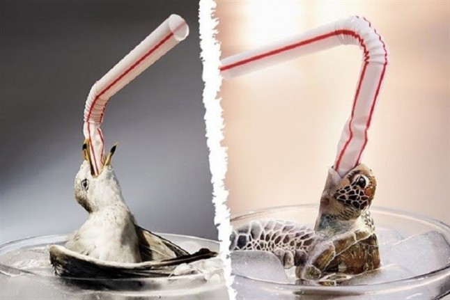 La negligencia estratosférica del ‘usar y tirar’ 13 millones de pajitas de plástico cada día en España