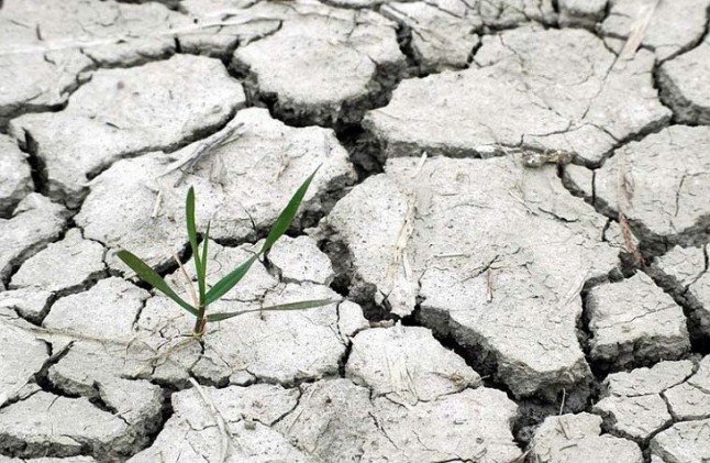 Y si llegamos tarde para frenar el cambio climático