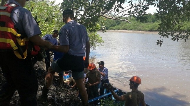 Tamiahua santuario del proyecto más ambicioso de reforestación de manglares en México