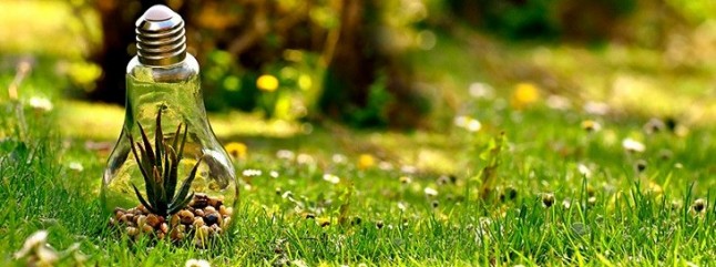 Impartirá Ibero licenciatura en sustentabilidad ambiental