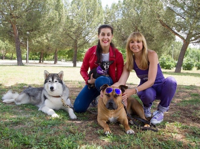 El Padre Ángel celebra San Antón 2019 en la Fundación El Arca de Noé