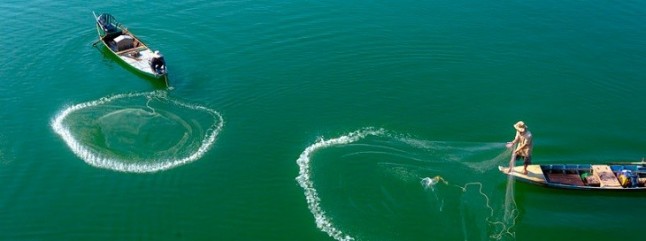 Cómo afectará el cambio climático las pesquerías del mundo