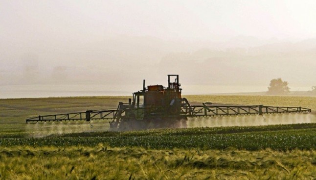 Microorganismos del propio suelo para recuperar tierras contaminadas