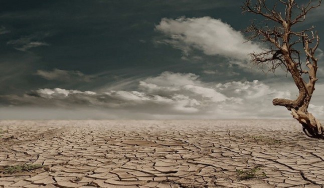 Ribera llama a los países a "reforzar el liderazgo en acción climática" para la puesta en marcha del Acuerdo de París