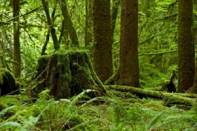 El cinturón tropical también cambiaba antes de la era industrial