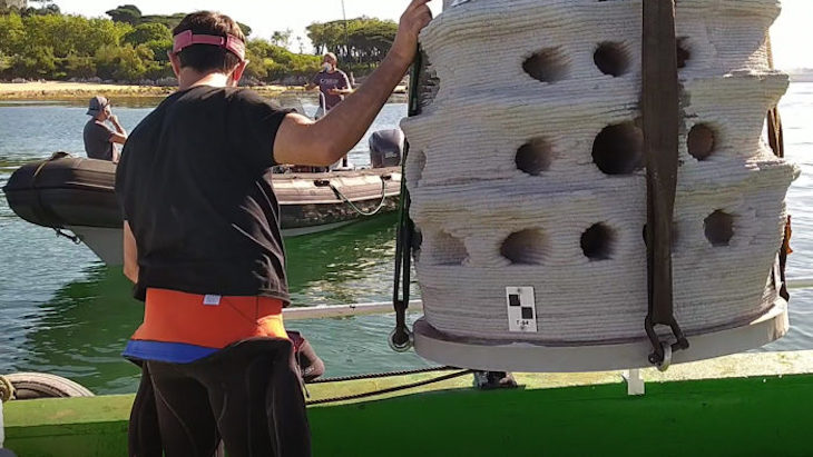 Sumergen arrecifes artificiales en la bahía de Santander para estudiar su biodiversidad