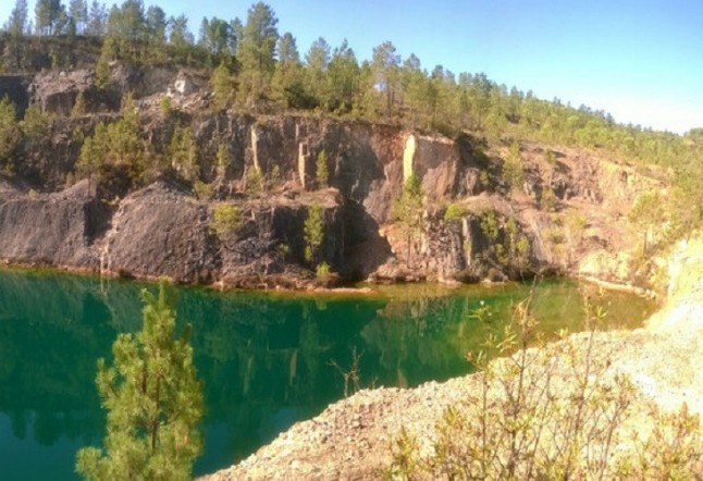 La almeja asiática una especie invasora presente en España que sirve a los científicos para detectar el estado de contaminación de aguas ácidas