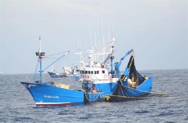 Un informe revela que la UE no logrará recuperar los caladeros sobreexplotados antes de 2020