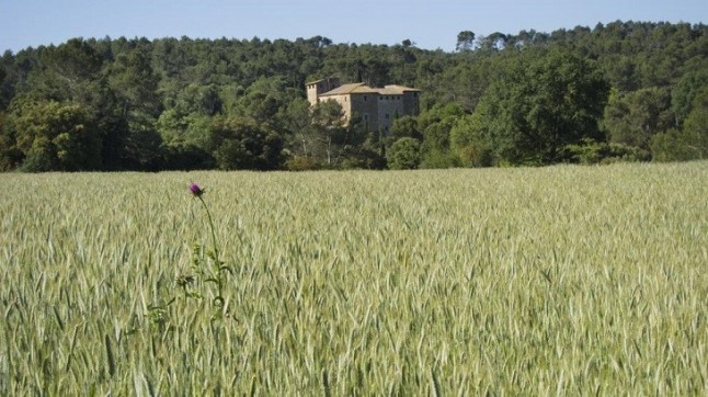 Sant Cugat del Vallès protegerá los terrenos de Torre Negra