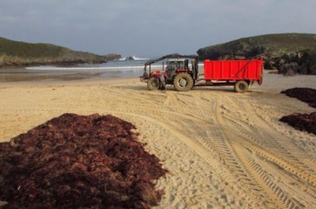 El Principado de Asturias aprueba el arranque de ocle sin leer ni las alegaciones presentadas