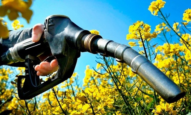 El etiquetado de los carburantes marcará la cantidad de biocombustible que contiene