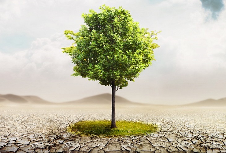 Ley de Cambio Climático