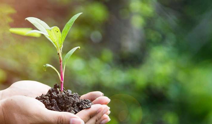 Gobierno de España: ‘La recuperación solo puede ser verde y azul