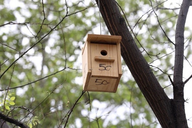 El Ayuntamiento de Madrid instala 126 cajas nido en los árboles del Paseo de la Castellana