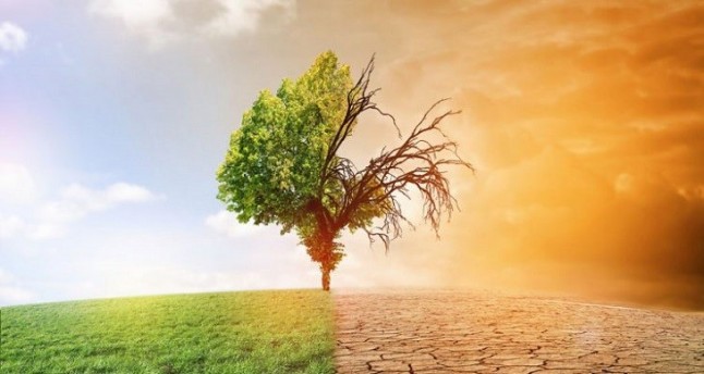 Sí se puede. Cómo reducir el impacto del cambio climático en la infraestructura de América Latina