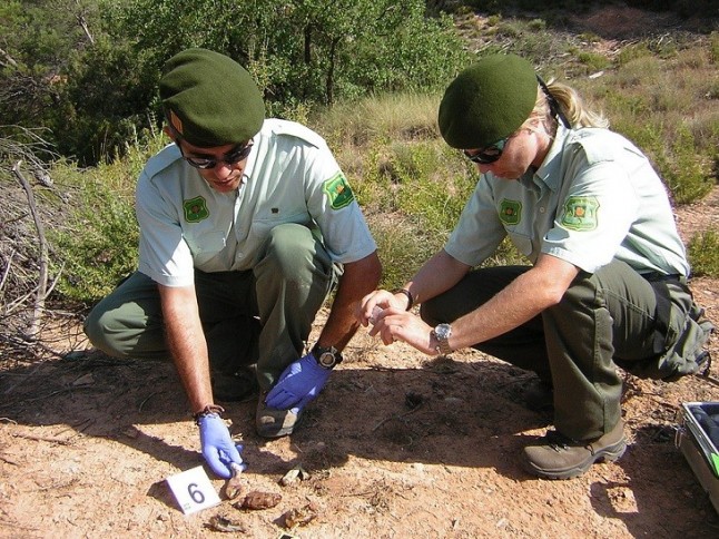 Andalucía forma en Aracena (Huelva) a agentes contra el uso ilegal de venenos en la Sierra