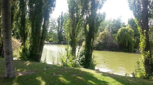 Móstoles pone en marcha un proyecto para adaptar sus parques al ecosistema mediterráneo