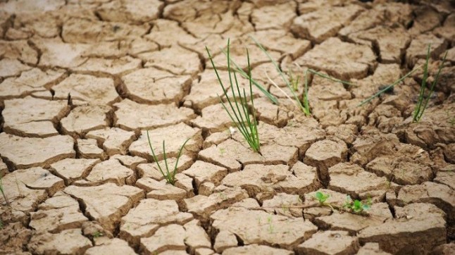 El Consell de Mallorca luchará contra el cambio climático