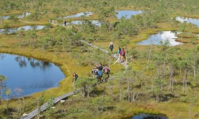 El ciclo de carbono en la tundra recalentada evoluciona al del bosque