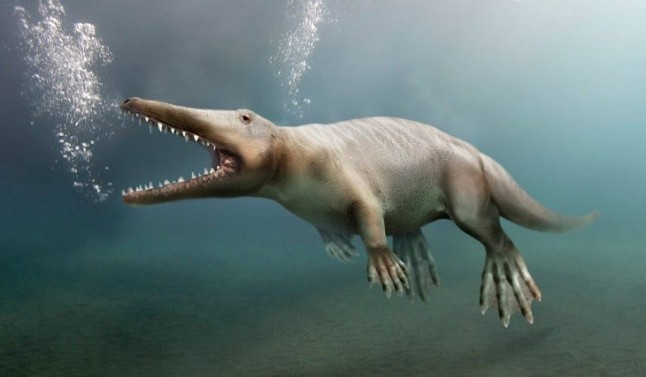 La ballena de cuatro patas