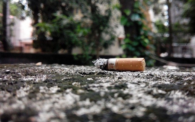 La Mesa del Tabaco con el medio ambiente