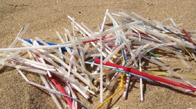 ONG piden a los países europeos que sigan la recomendación del PE y prohíban pajitas y vasos plásticos