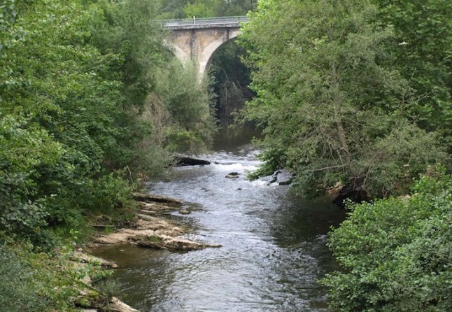 Asturias. Cancelan el disparatado proyecto de la cría de esturiones en el río Piloña