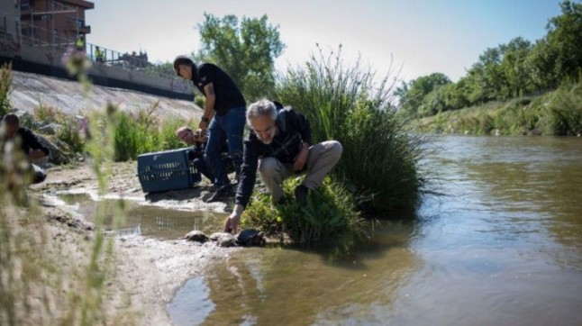 EQUO apoyará un nuevo acuerdo sobre la renaturalización del Manzanares