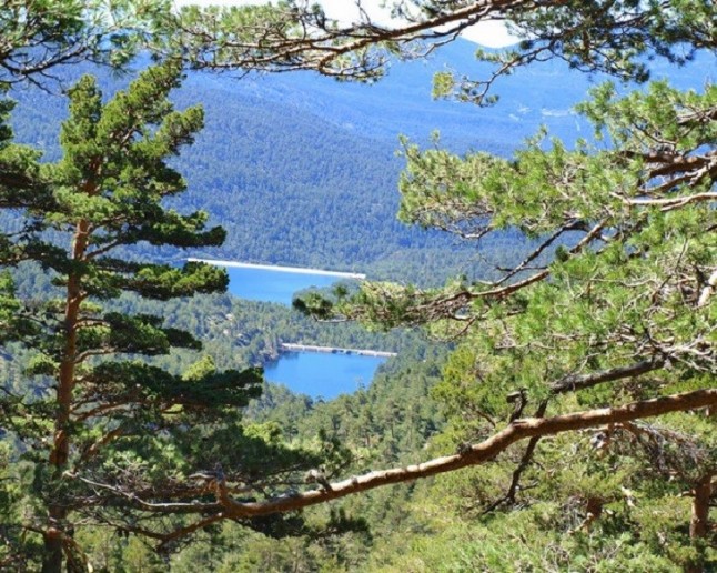 Nace la Asociación Reserva de la Biosfera de San Ildefonso- El Espinar