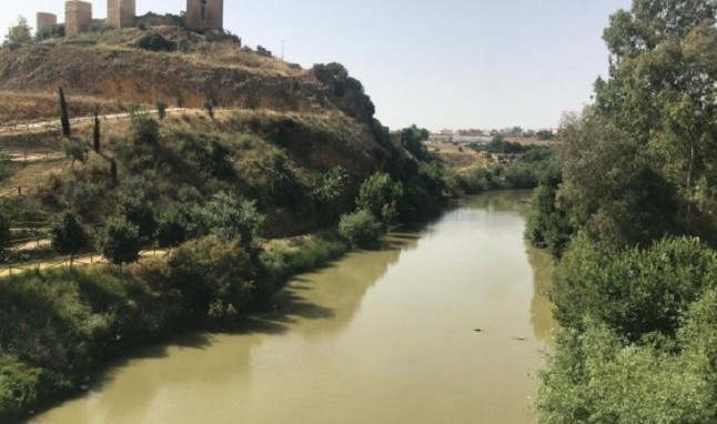 Ecologistas avisa de "vertidos" contaminantes entre Arahal y Carmona procedentes de la industria de la aceituna