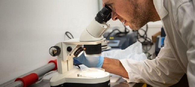 Sal atiborrada de microplásticos en nuestra comida