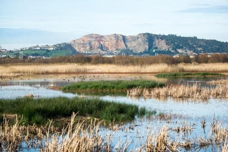Tarragona. XXVI Edición de los Premis Ones Mediterrànea galardona al ‘ANILLO VERDE DE LA BAHIA DE SANTANDER’