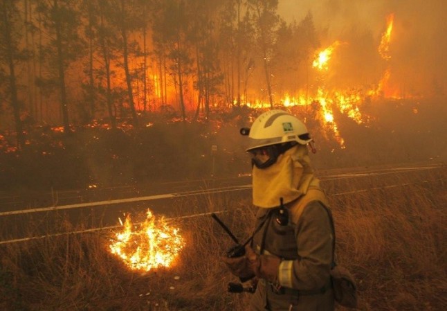 La ciudadanía debe implicarse en la prevención de los incendios forestales
