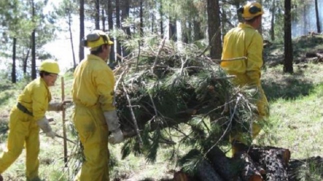 Denuncian la nefasta gestión ambiental del Gobierno de Castilla-La Mancha