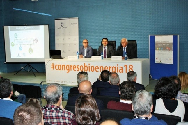 La biomasa debe tener mayor peso en el mix energético nacional