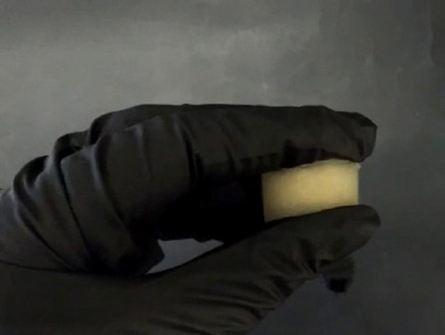 Innovador biomaterial a partir de quitina