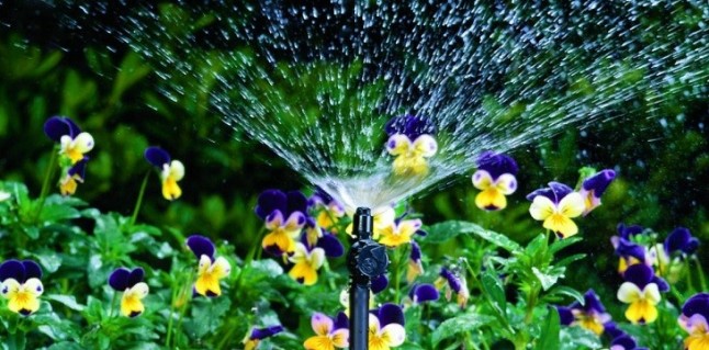 Cuánta agua necesita mi jardín