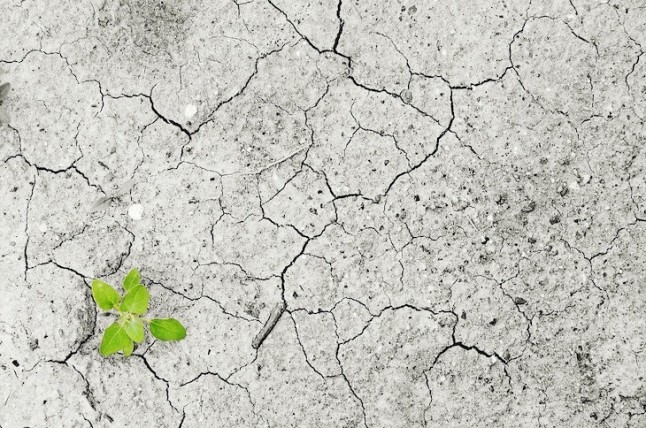 Sanitarios analizan este miércoles cómo afecta el cambio climático a la salud de los castellano-manchegos