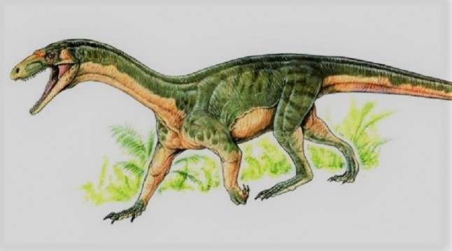 Nueva especie de dinosaurio con patas de lagarto descubierto en China