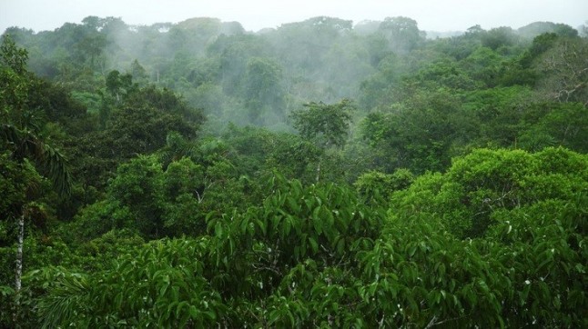 Equo exige al Gobierno: Protección del 30% del Planeta para 2030