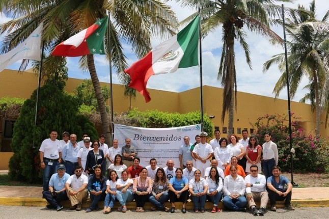 Máxima atención a las tortugas marinas a causa de derrames de petróleo en el Golfo de Méjico