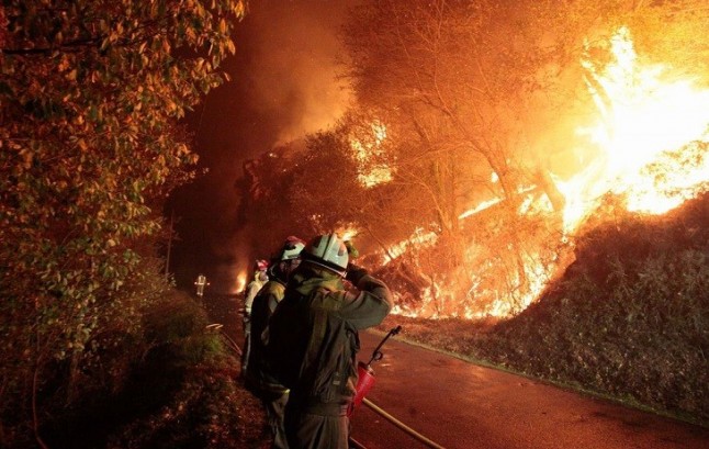 Asturias. No se pueden permitir mas oleadas de incendios provocados como los que estamos viviendo