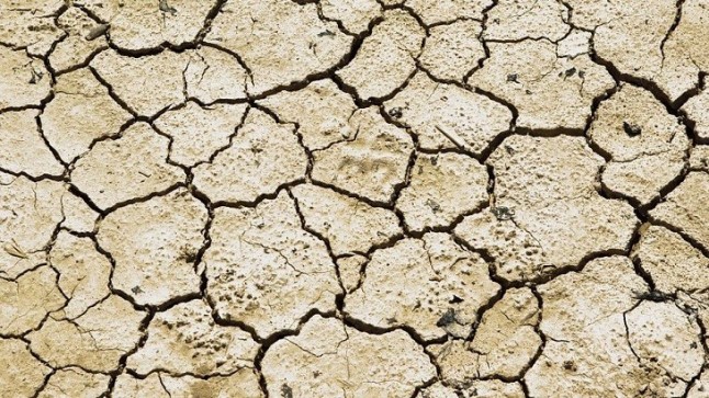 Greenpeace alerta que las últimas lluvias no serán el fin de la desertificación y la sequía en España